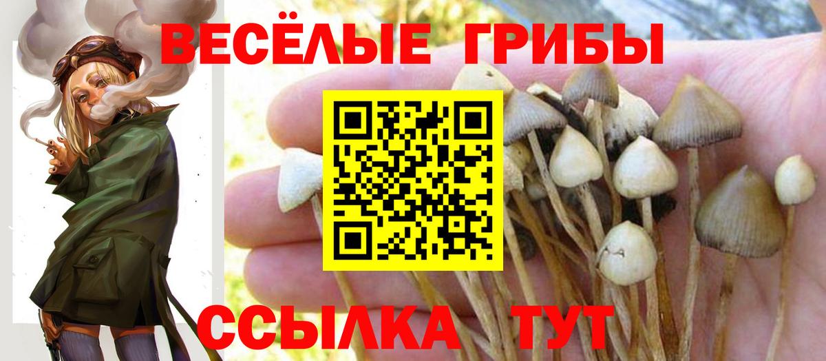 Торжок  где найти   Вход с VPN  Галлюциногенные грибы MAGIC MUSHROOMS 